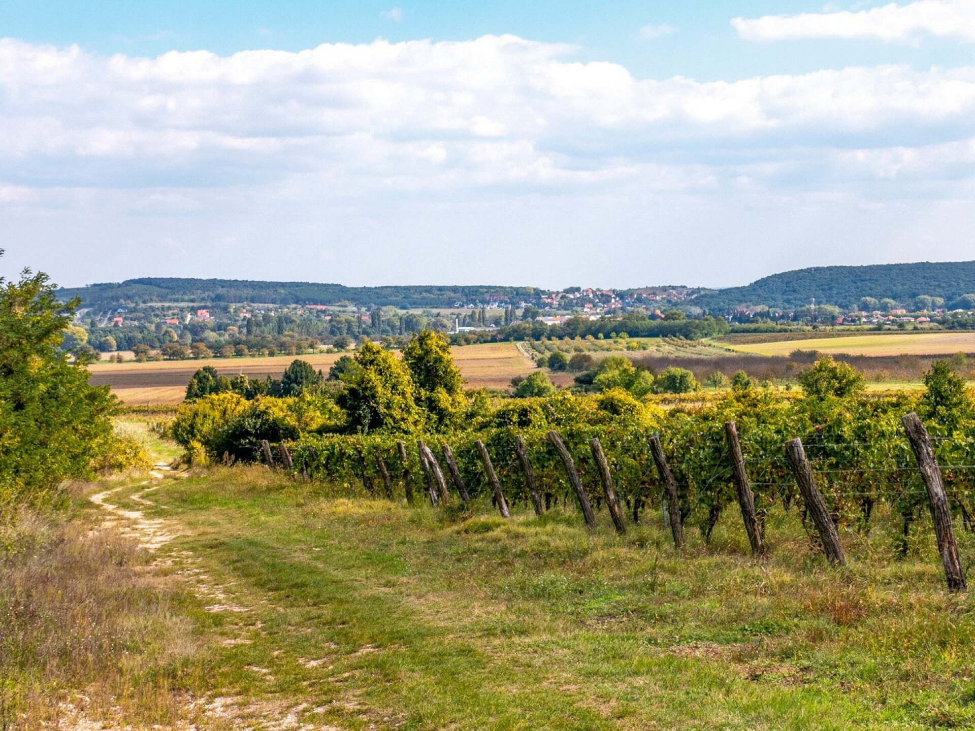 Egy kevésbé ismert kék út: a „Soproni KÉK-frankos”