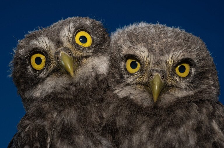 A természet ezer arca – Galéria