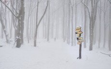 A Természetjáró csapata is megtaposta a friss havat – galéria