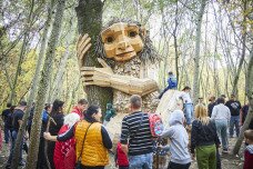 A vásárhelyi troll Normafává varázsolta a Kása-erdőt