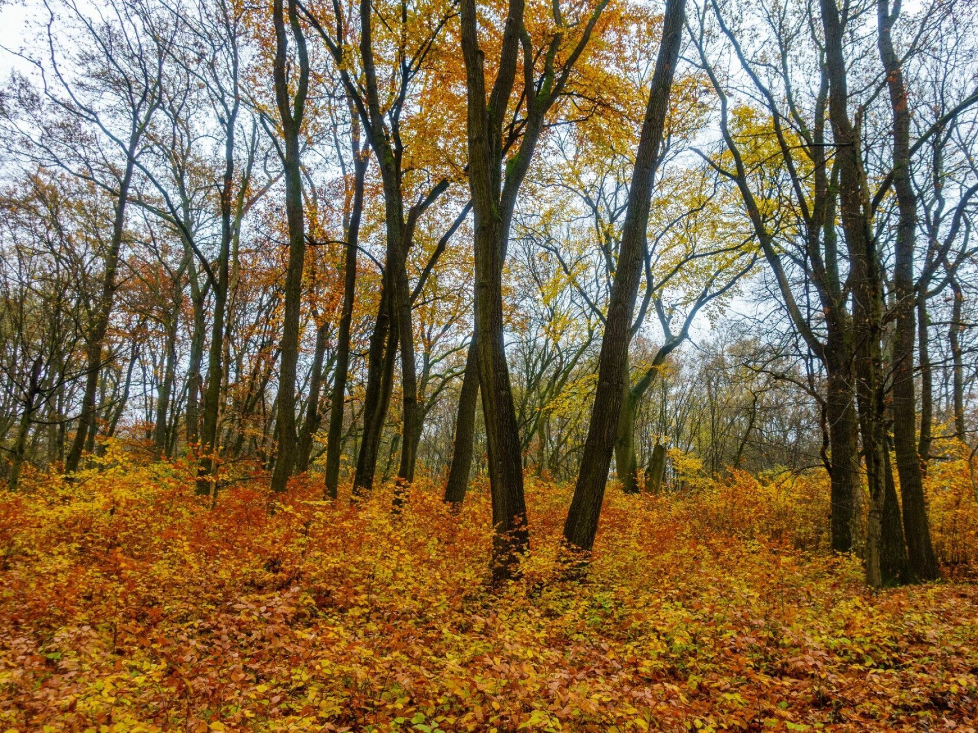 Hétvégi programajánló