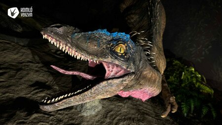 Dinoszaurusz-kiállítás nyílt Komlón