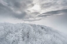 Fehérbe borult az ország – Galéria