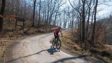 Közösségi erővel születik újjá a Pilis Bike