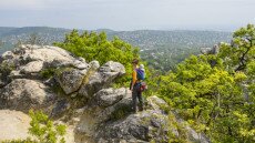Négy könnyű túra gyerekkel Budapest közelében