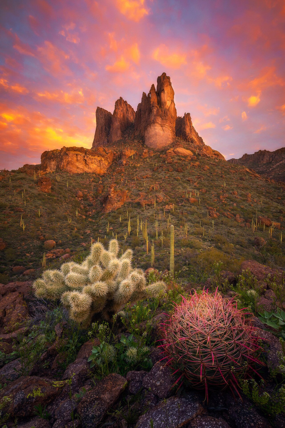 01 SPIKE AND BARREL II - Peter Coskun (USA)