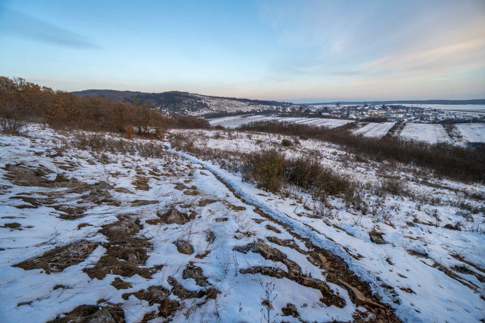 03 Aggtelek határában, karrmező FOTO Dömsödi Áron