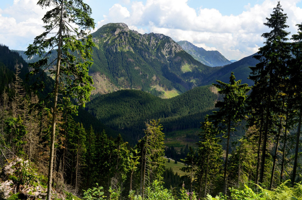 03 A Lucna a Chocholowska-völggyel az előtérben FOTO  AdobeStock_198515092