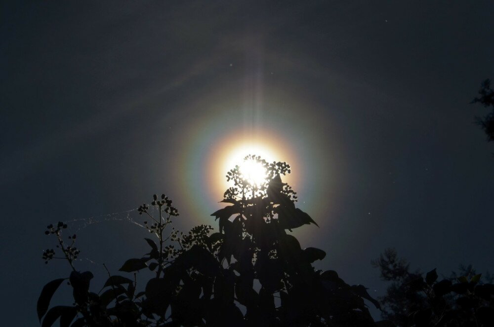 04 korona napkoszorú NAGY FOTO Őri Ágnes