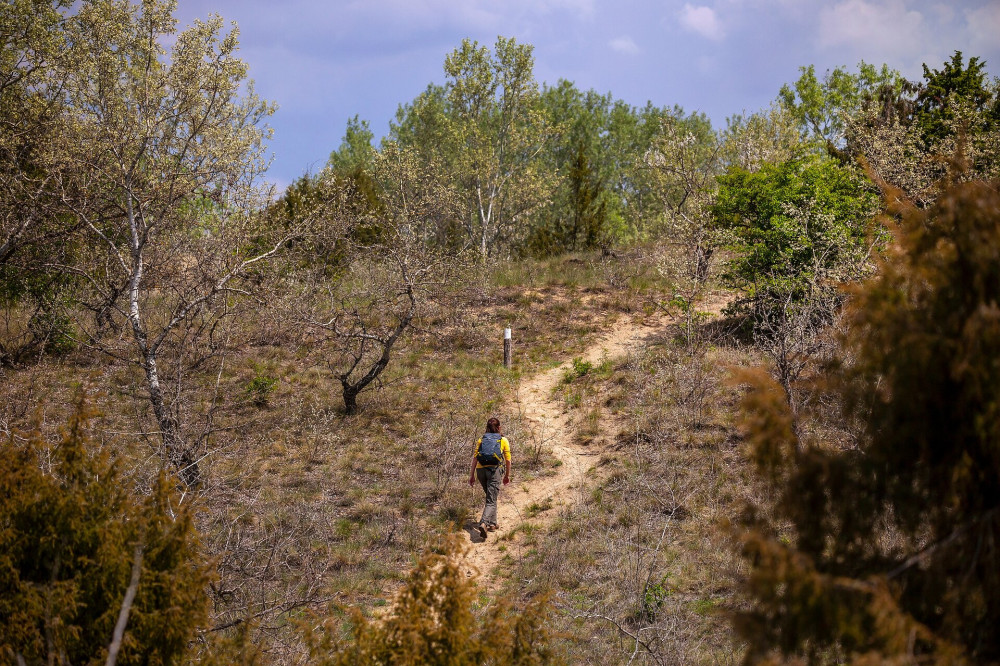 06 buckakra fel le FOTO Palvolygi Krisztina