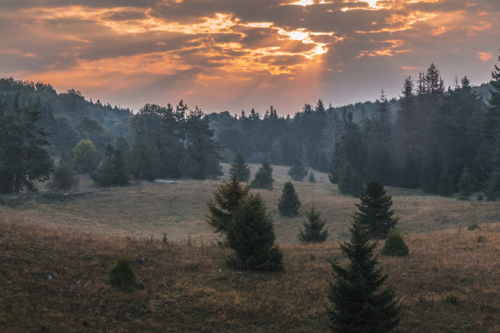 07 Bukk-fennsik Menyecske töbör FOTO Feher Janos