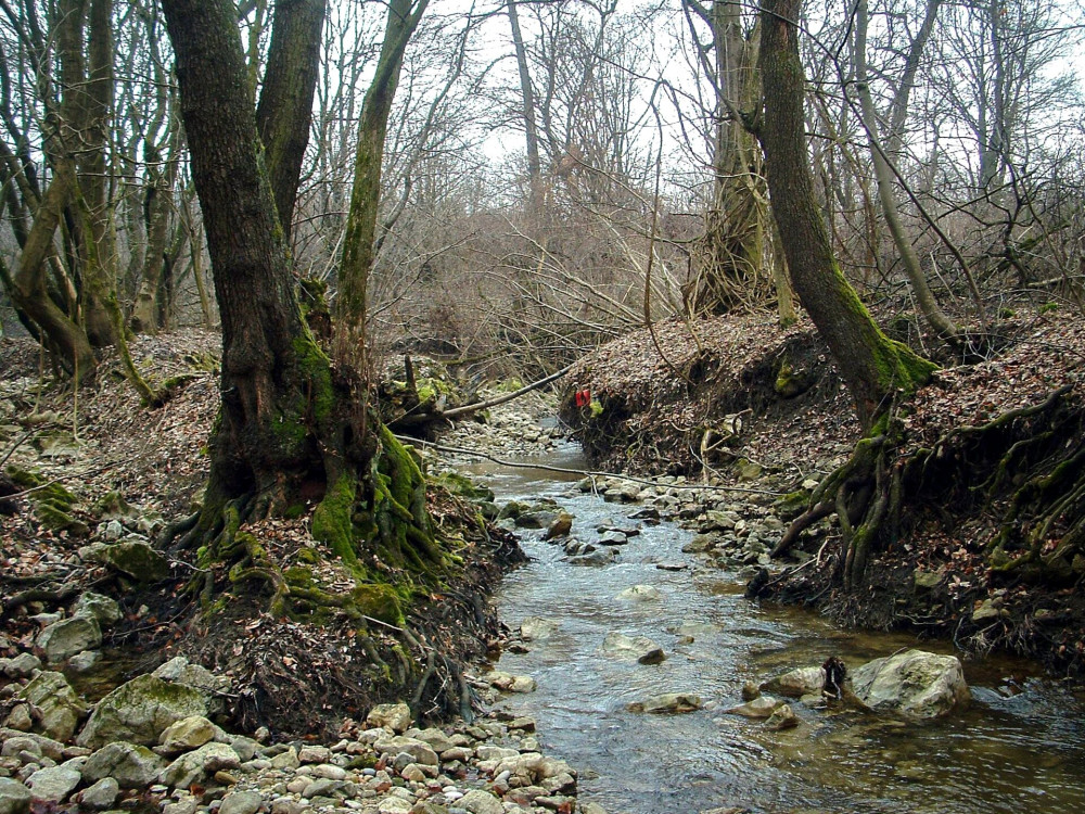 08 Gazlo Gaja-patakon Bakonynana Nagyesztergar kozott 0427 FOTO Horvath Bela