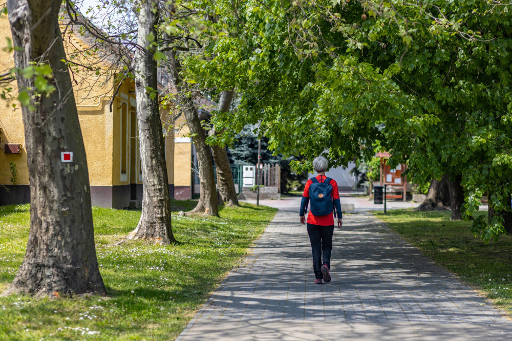 08 Zrínyi utca piros jelzés