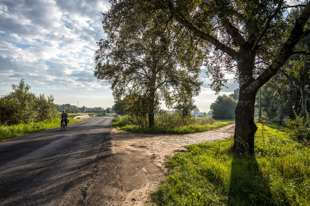 09 AK04 Szatymaz mellett FOTO Tassy Márk