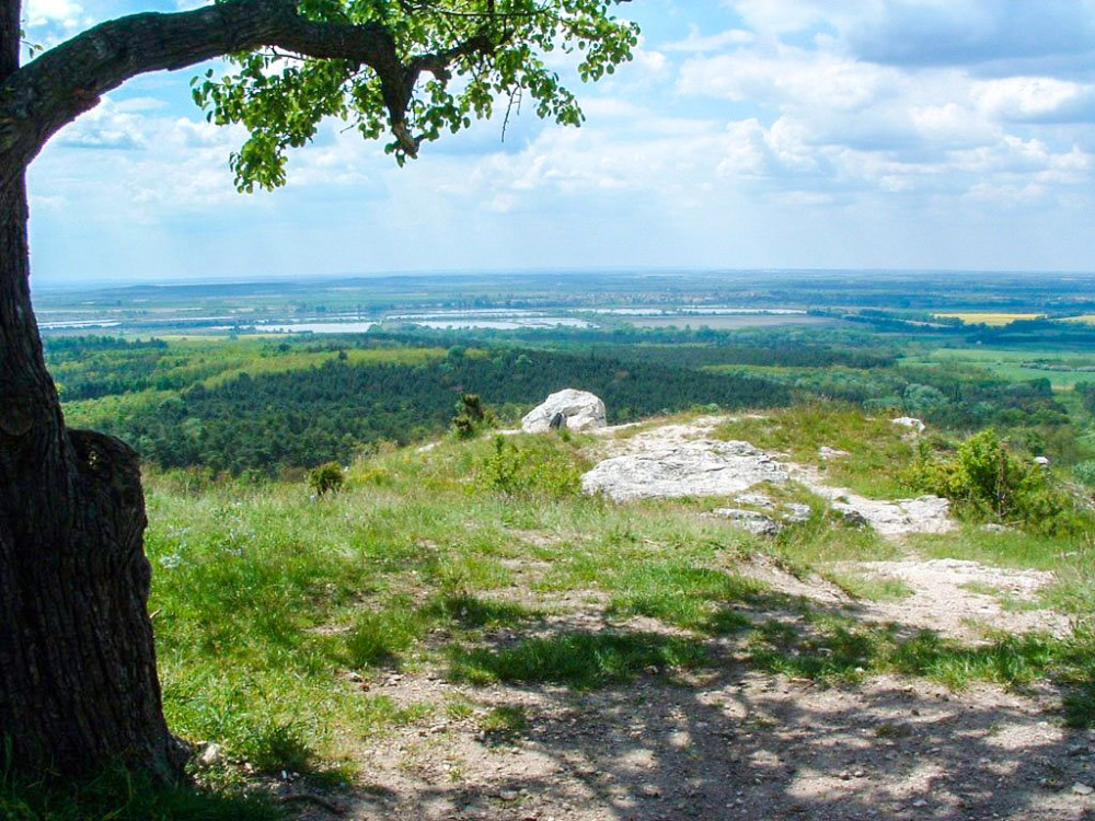 0. Kilatas a kopiterol-DINPI