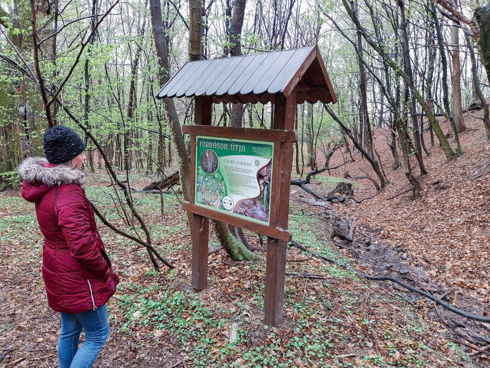 10. évszázados gesztenyefa őrzi a Cseke-forrás csobogóját