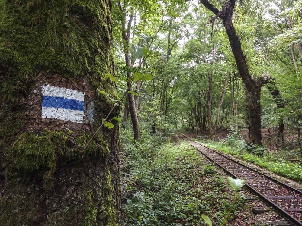 10 Felsőtárkányi kisvasút pályája  FOTO Lanczi Peter