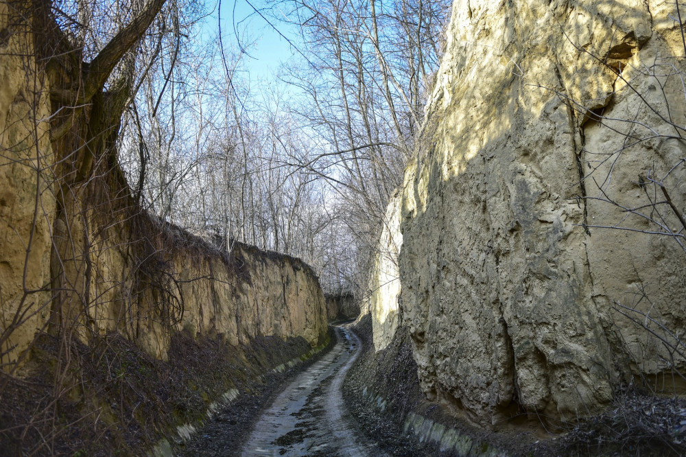 10 szurdik jo