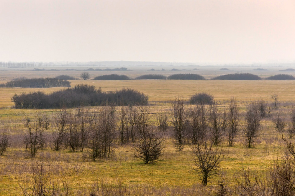 11 Kigyosi-puszta-erdo-terjedes-GA