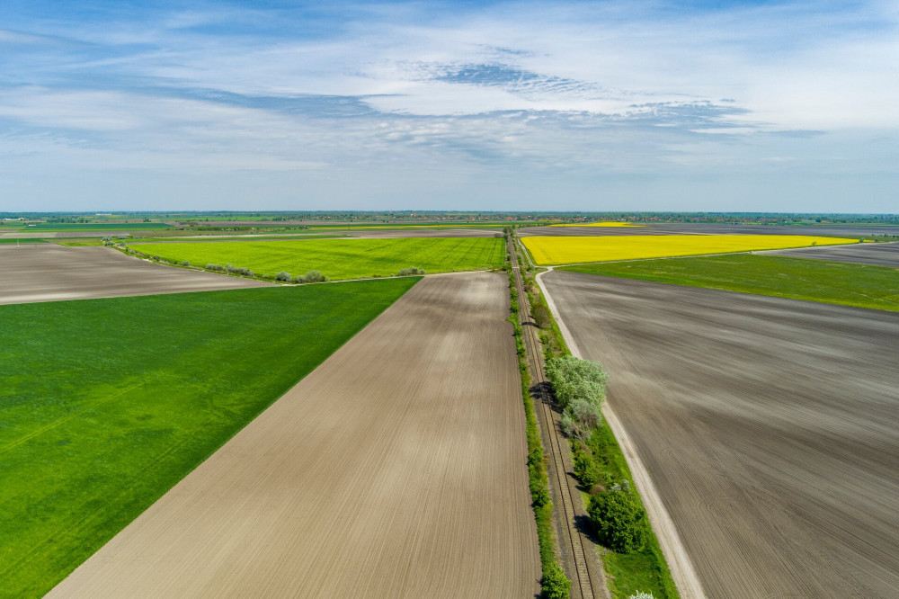 11 vagy 12 szántóföldeken vezet az út FOTO Csanádi Márton