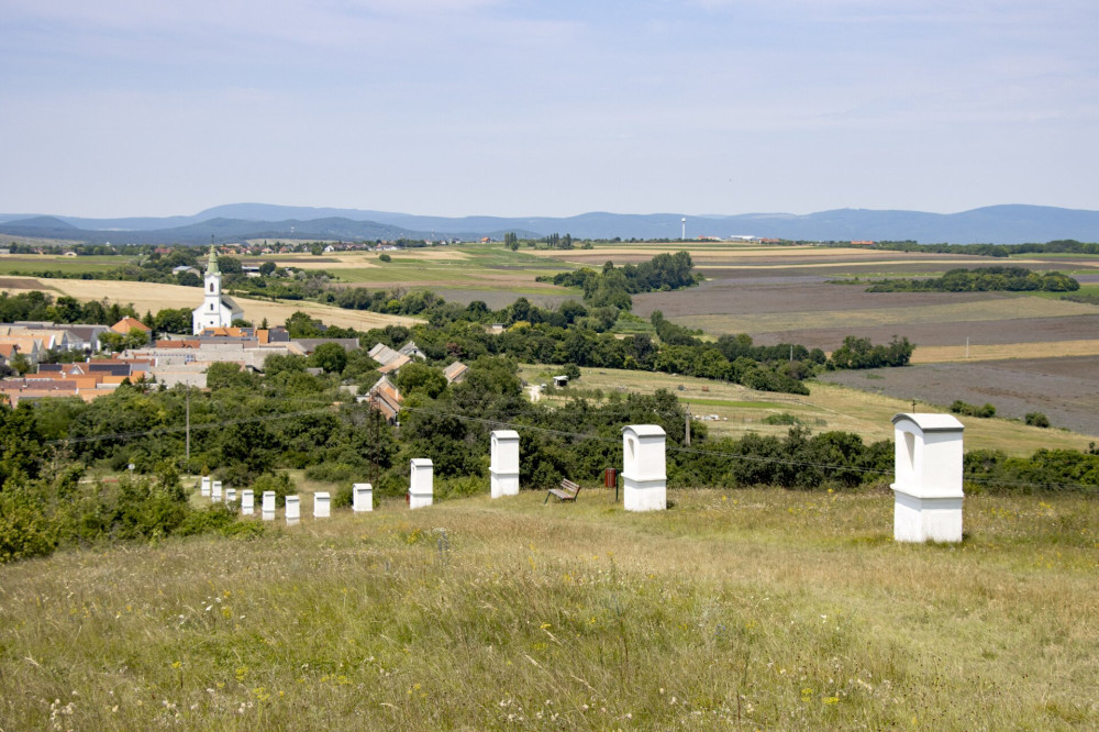 11 Veszprémfajsz kálváriájáról csodás panoráma tárul elénk