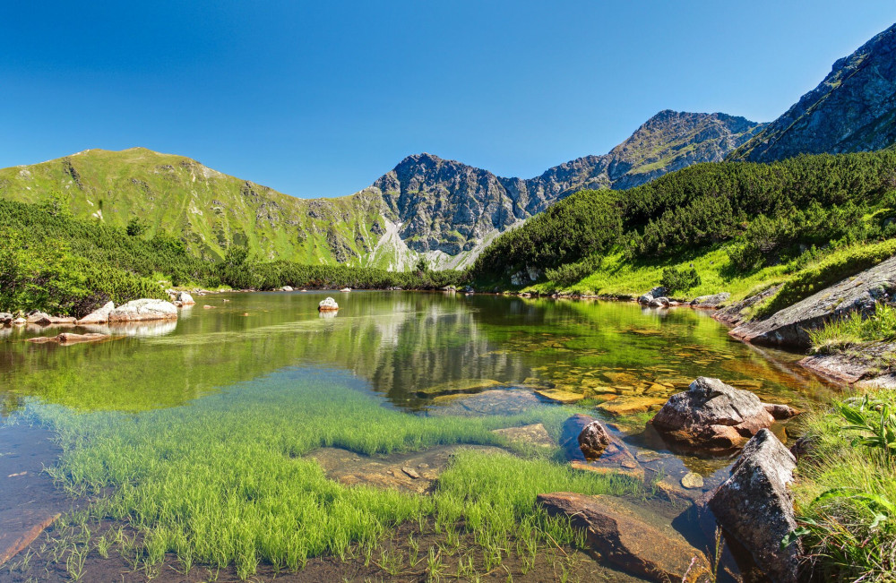 13 A gerinc egy szakasza az egyik rohácsi tótól nézve FOTO  AdobeStock_55714666