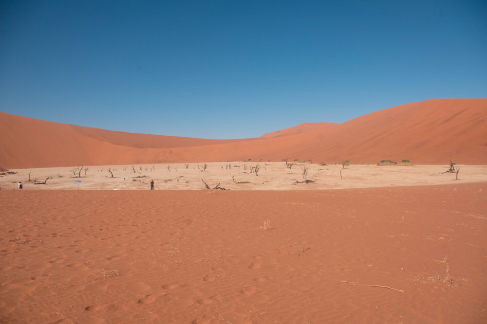 13. Deadvlei, a holt mocsár