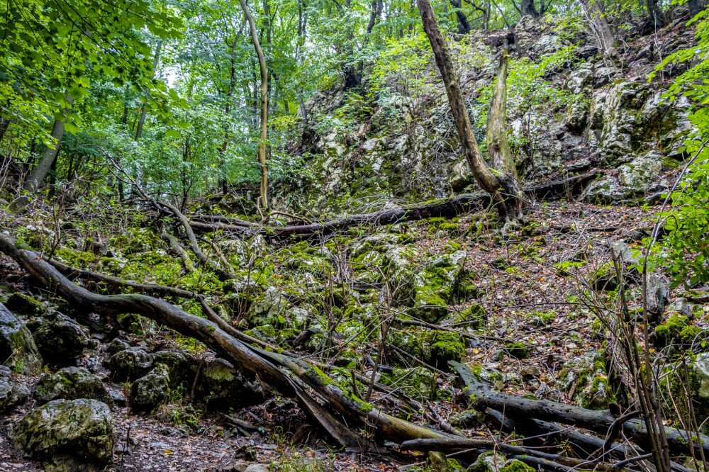 13 Felmenet a Pilis oldalában