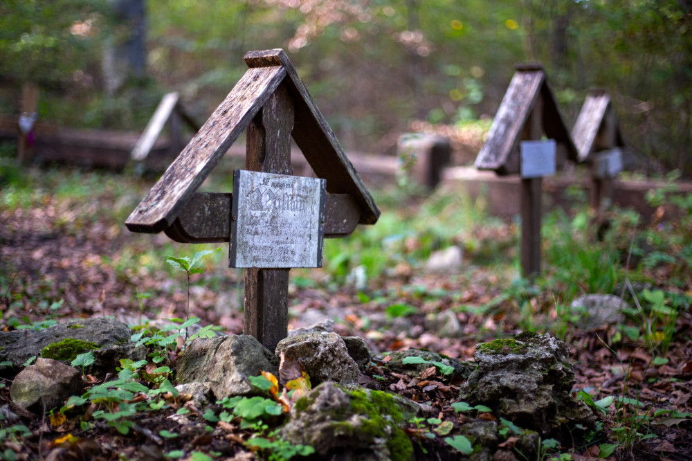 14 051 kutyatemető legrégebbi sir PK