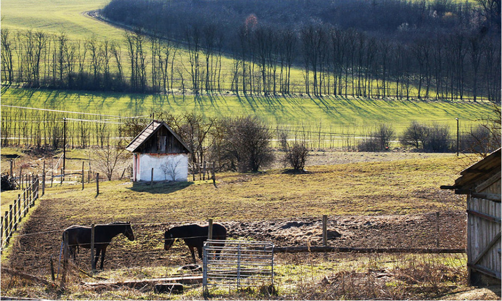 14-felsopeteny-hatar-lovak.jpg