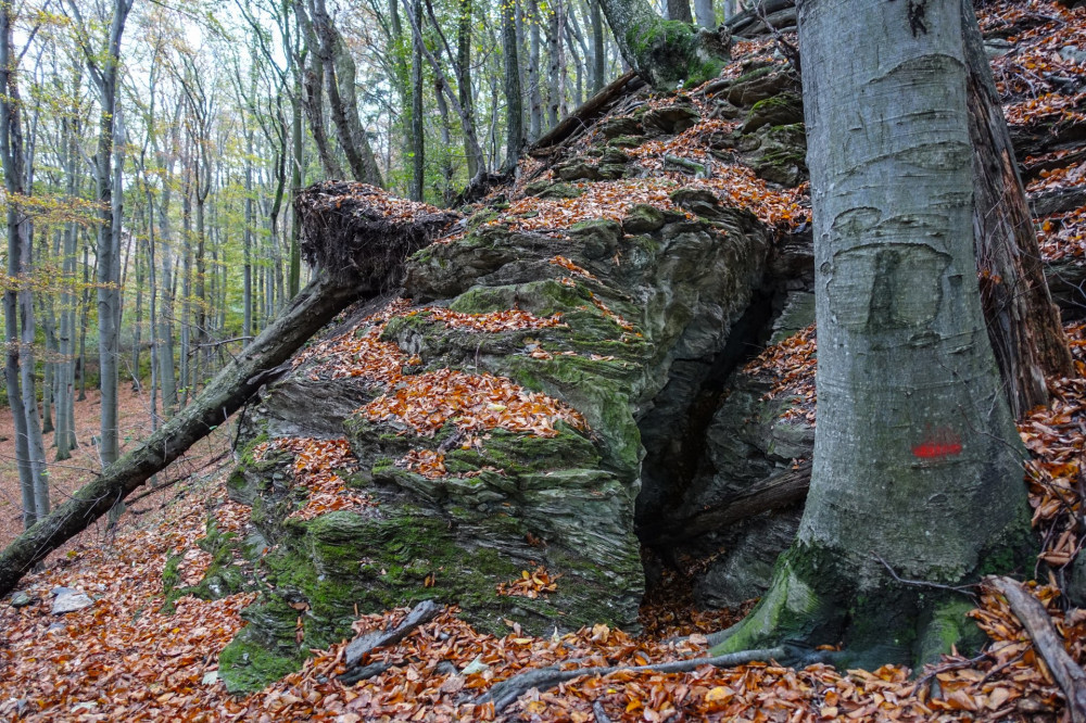 14 Kalapos-kői-barlang egyik bejárata 