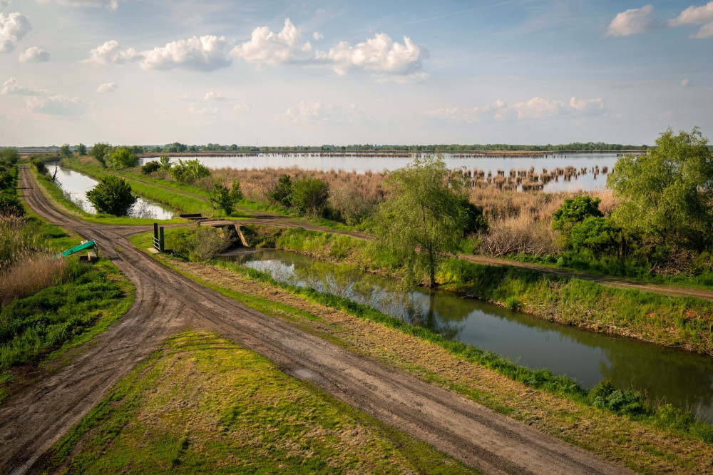 16-18 Begécsi-halastavak FOTO Pálvölgyi Krisztina