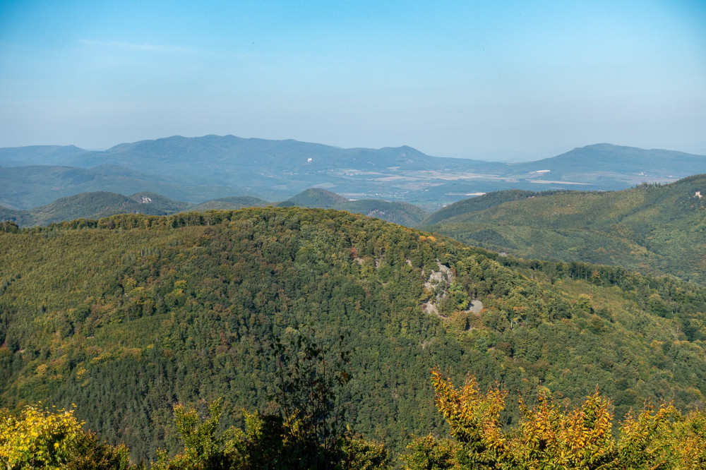 16 Nagy Péter-Mennykő