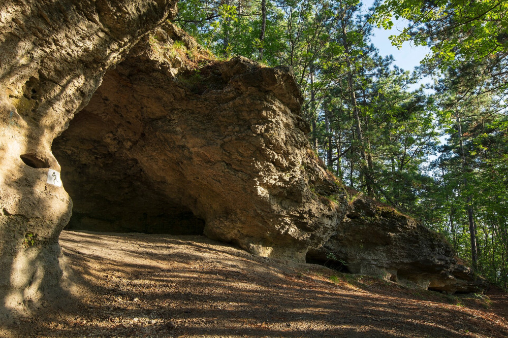 16 vadlany-lik NAGY FOTO Dr. Szentes Szilárd