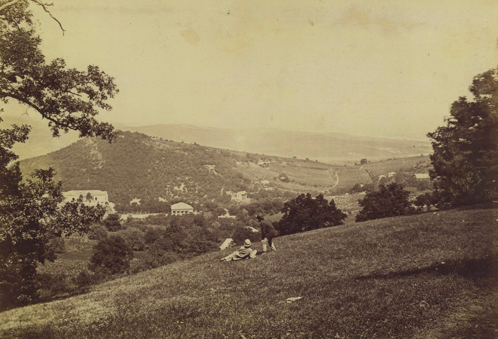 198 NORMAFA VAGOTT FOTO Fortepan  Budapest Főváros Levéltára  Klösz György fényképei