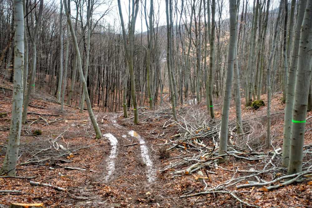 19 Szakó-nyereg feléDSC03578