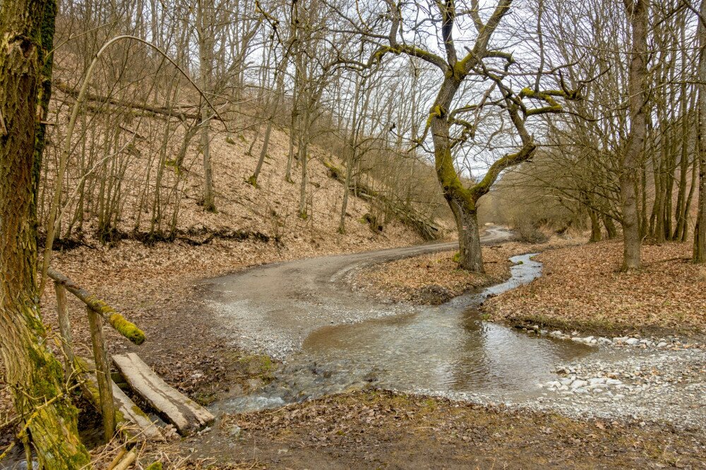 1 - Felsőtárkány felett, Vös-kő-patak