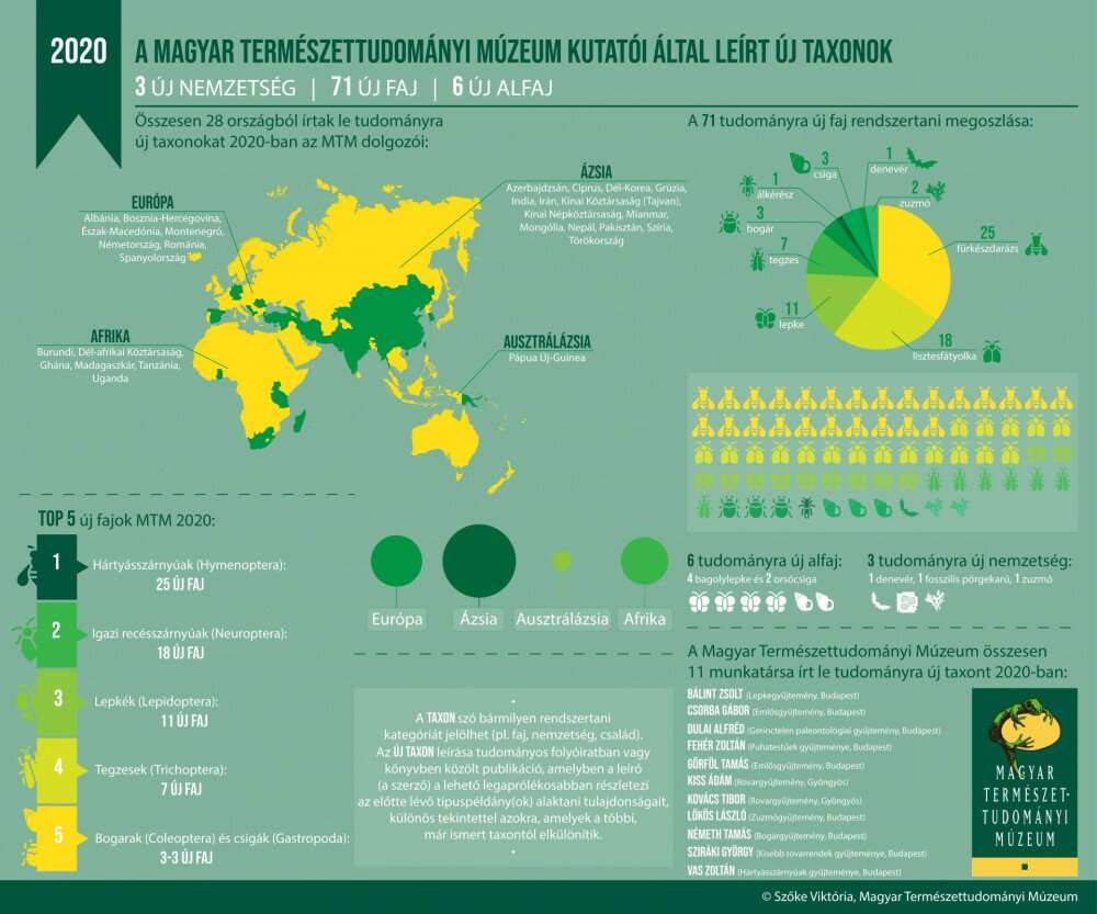 1_osszegzo_infografika_mtm (1)