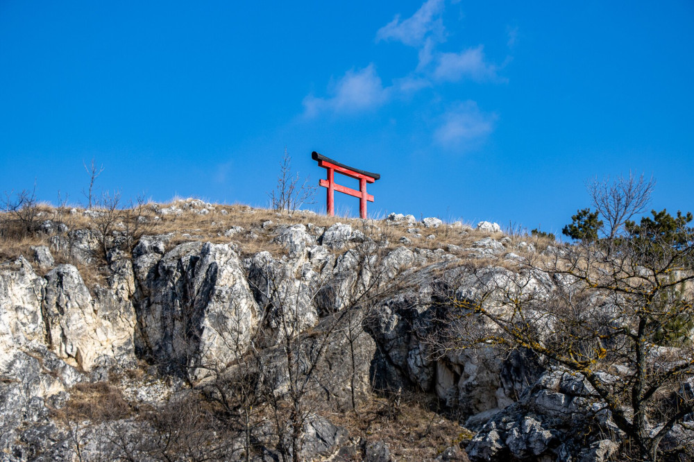 1 torii