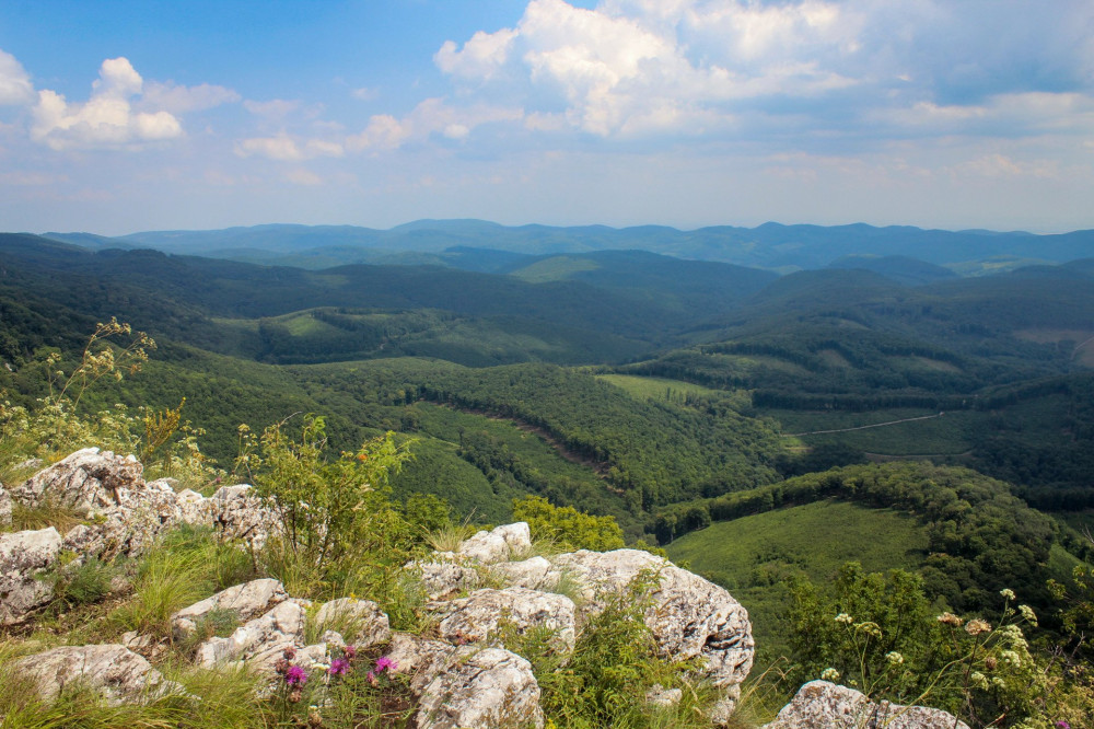 20180721-37-TarKo