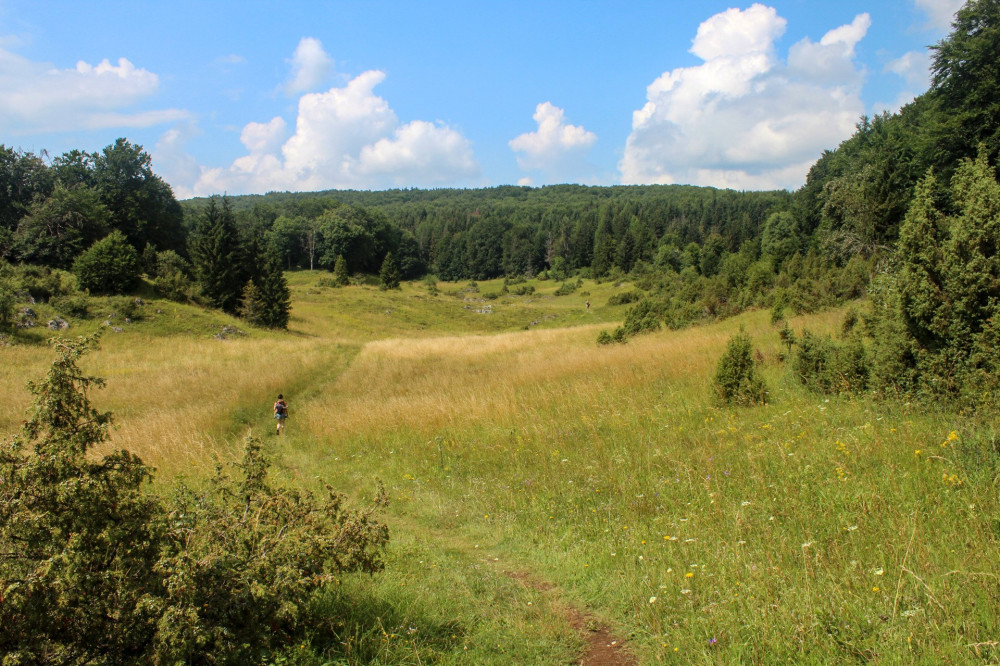 20180721-42-ZsidoRet