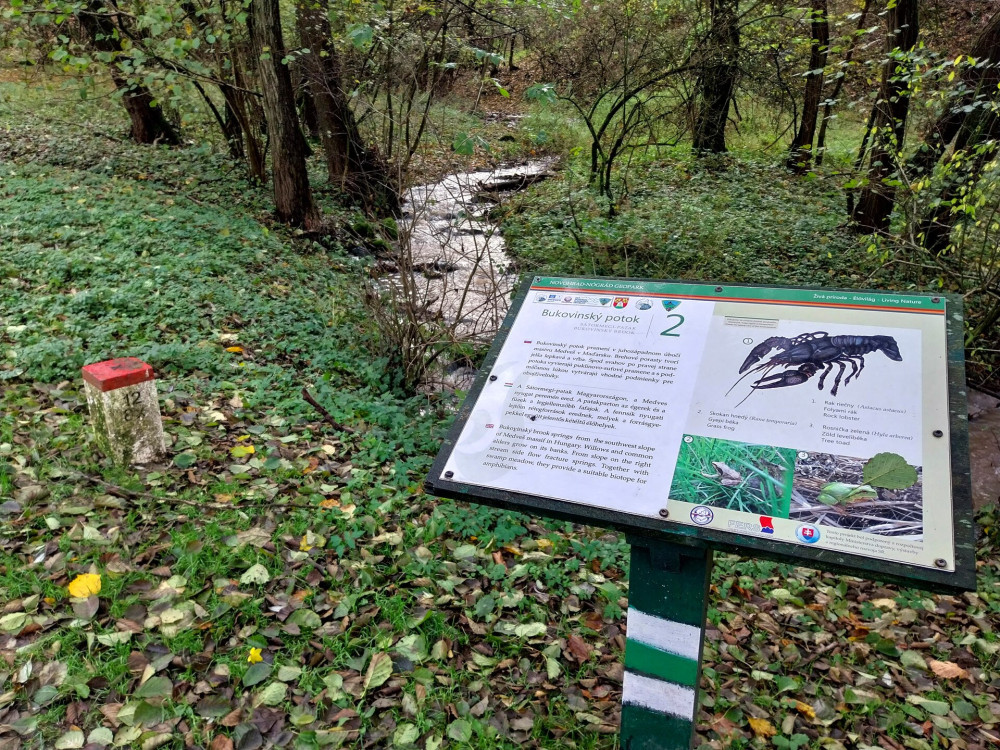 20. a Krúdy-forrástól a szlovák parkolóig piros sapkás kis határkövek kísérik utunkat