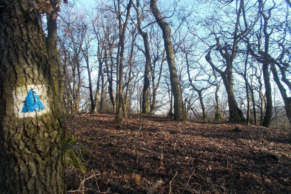 -23. kék háromszög jelzés az Eszkála-tetőn