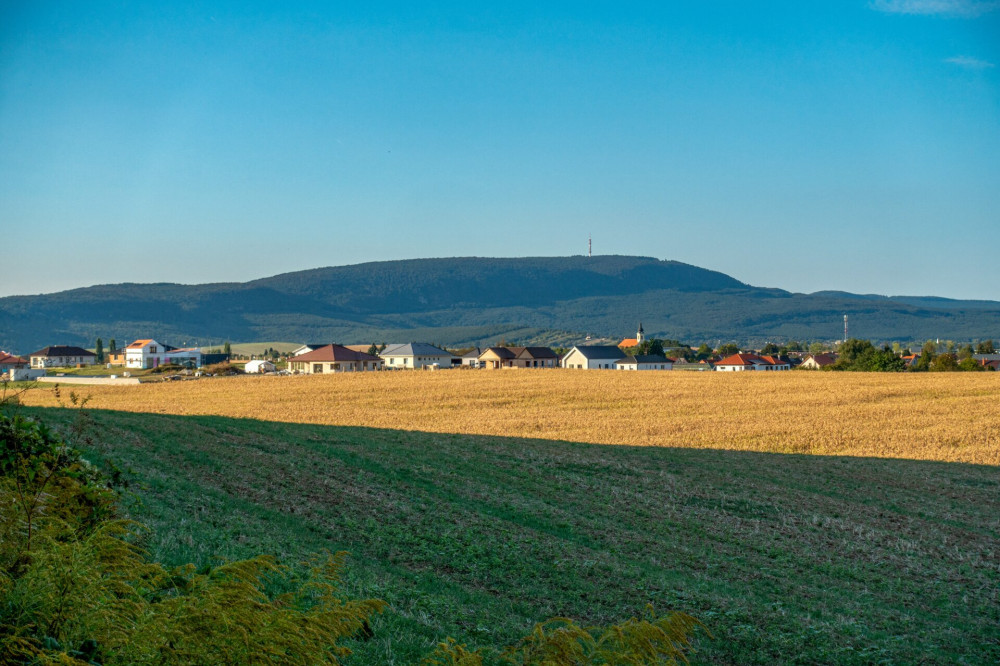 25 Tarján határában