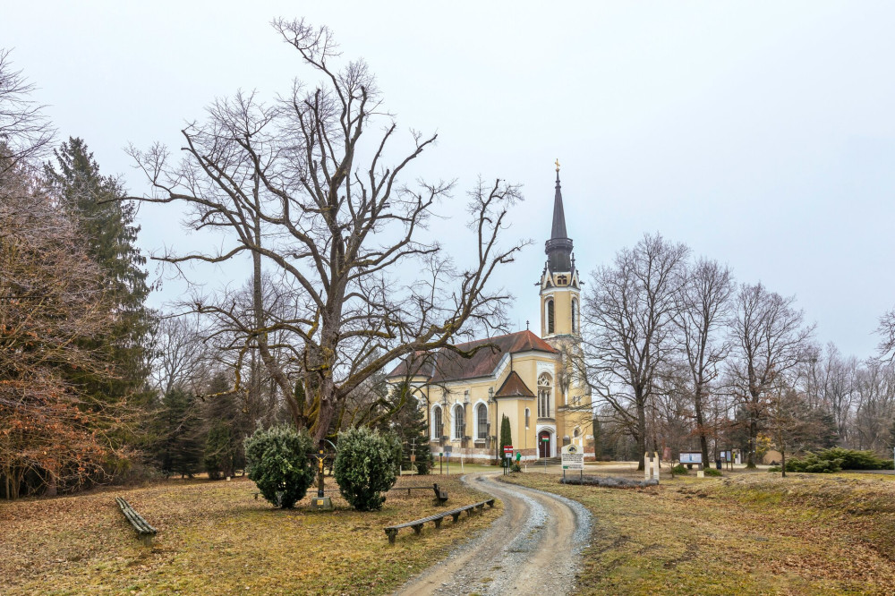 26-szent-imre-templom-park-FOTO-Gulyas-Attila