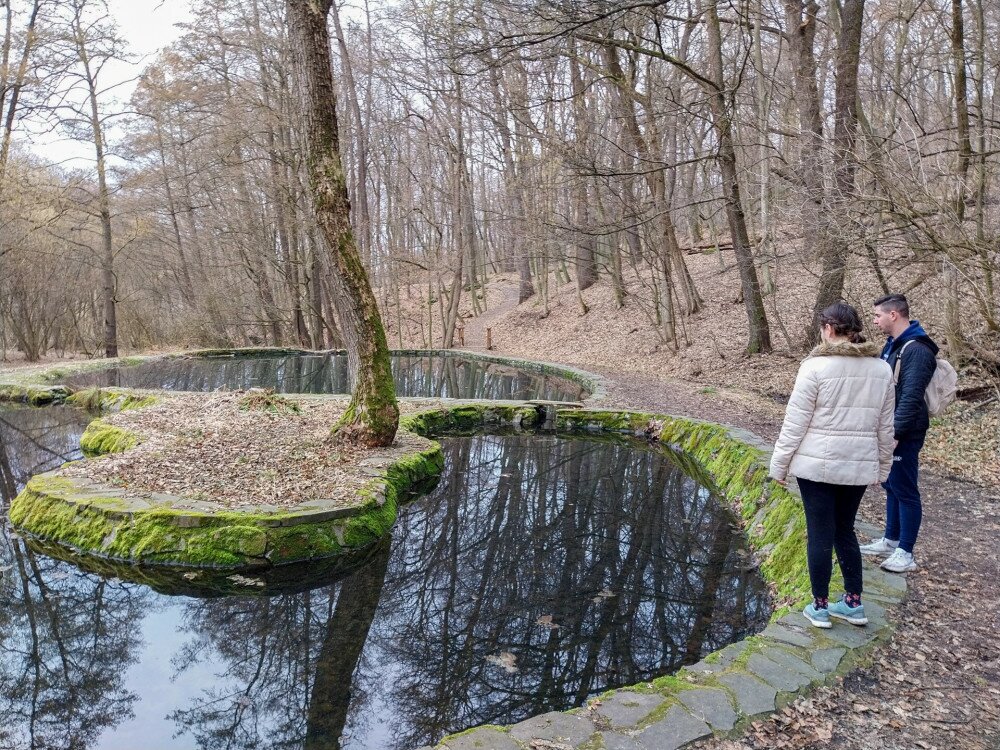 31. a Krúdy-forrás vizével felduzzasztott pisztrángos tavak