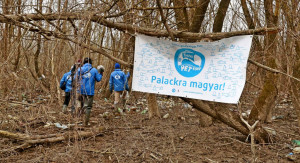 35 000 műanyag palacktól tisztult meg a Felső-Tisza