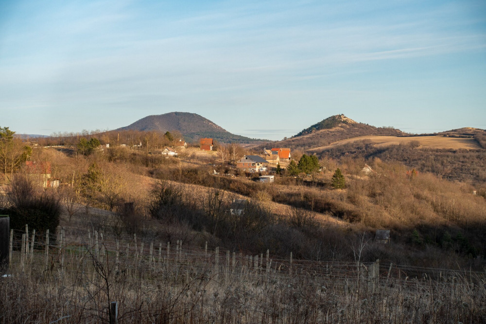 40 Tokod, ó-hegyi szőlők, kilátással