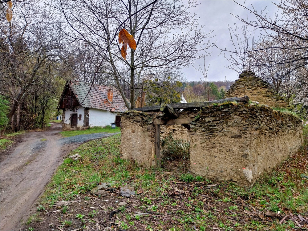 4. a velemi pincesor omladozó épületei mellett két pince épségben megmaradt