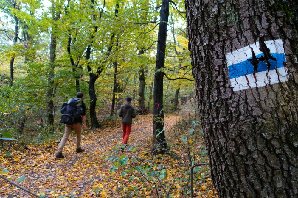 4. Kék úton a Kalapos-kövek irányába 